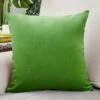 Housse De Coussin Velours 30x50cm Vert 2 Housse De Coussin Velours 30x50cm Vert -Housse Moderne Magasin Housse de Coussin Velours 30x50cm Vert Housse Moderne