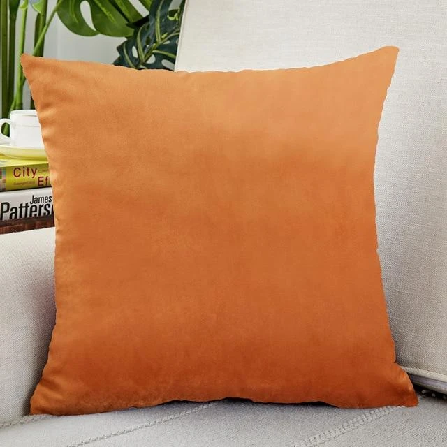Housse de Coussin Velours 45x45cm Housse De Coussin Velours 45x45cm -Housse Moderne Magasin Housse de Coussin Velours 45x45cm Housse Moderne